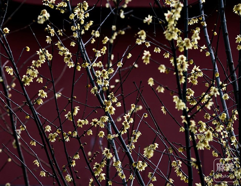 _DSC0429 ����.jpg