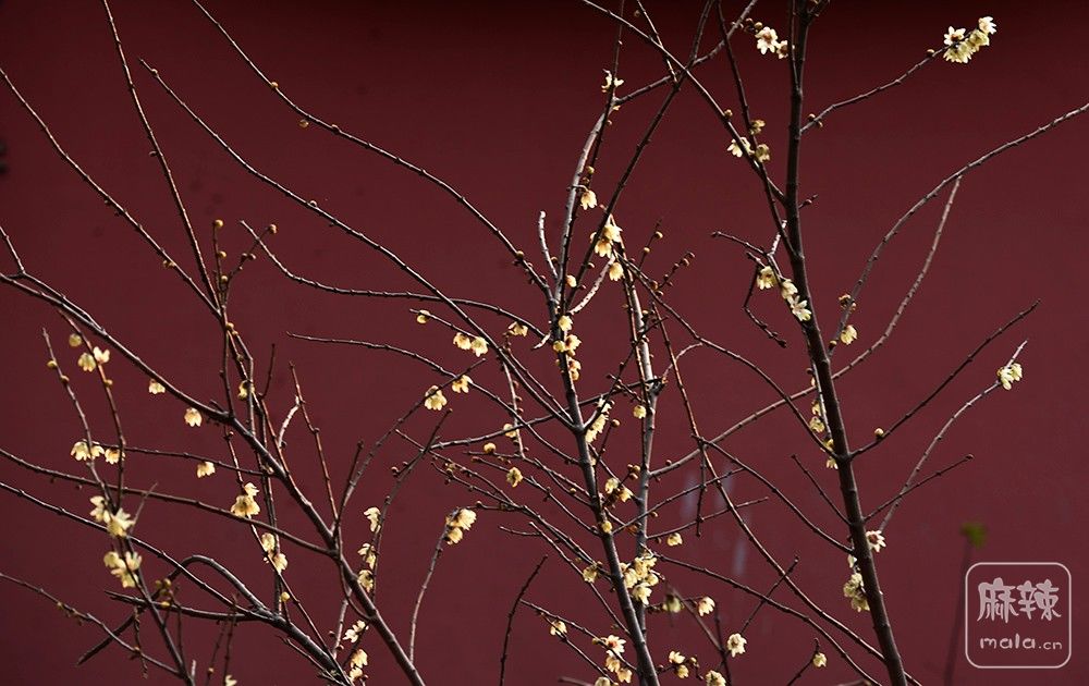 _DSC0428 ����.jpg