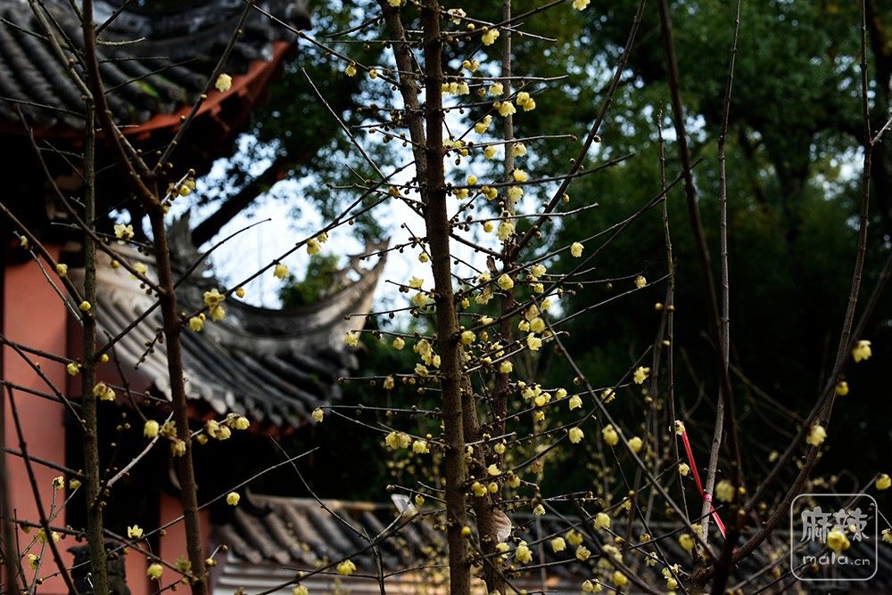 _DSC0435 ����.jpg