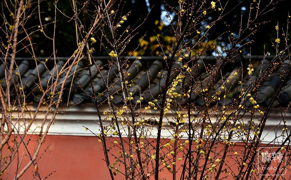 _DSC0438 ����.jpg