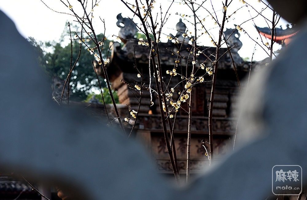 _DSC0442 ����.jpg