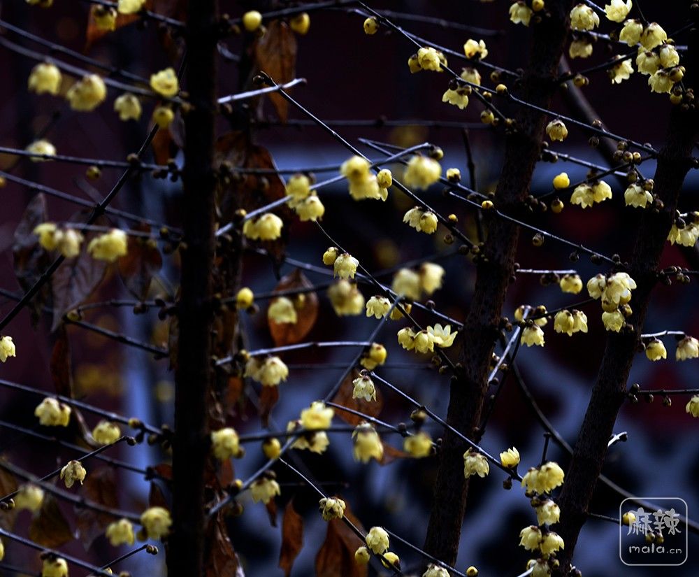 _DSC0440 ����.jpg