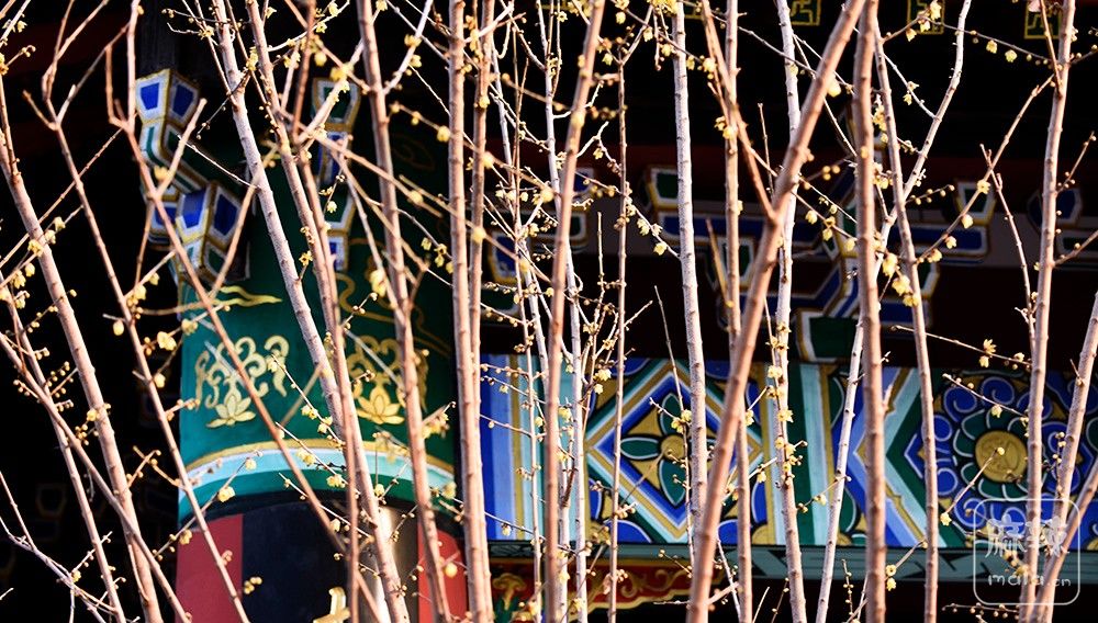 _DSC0444 ����.jpg