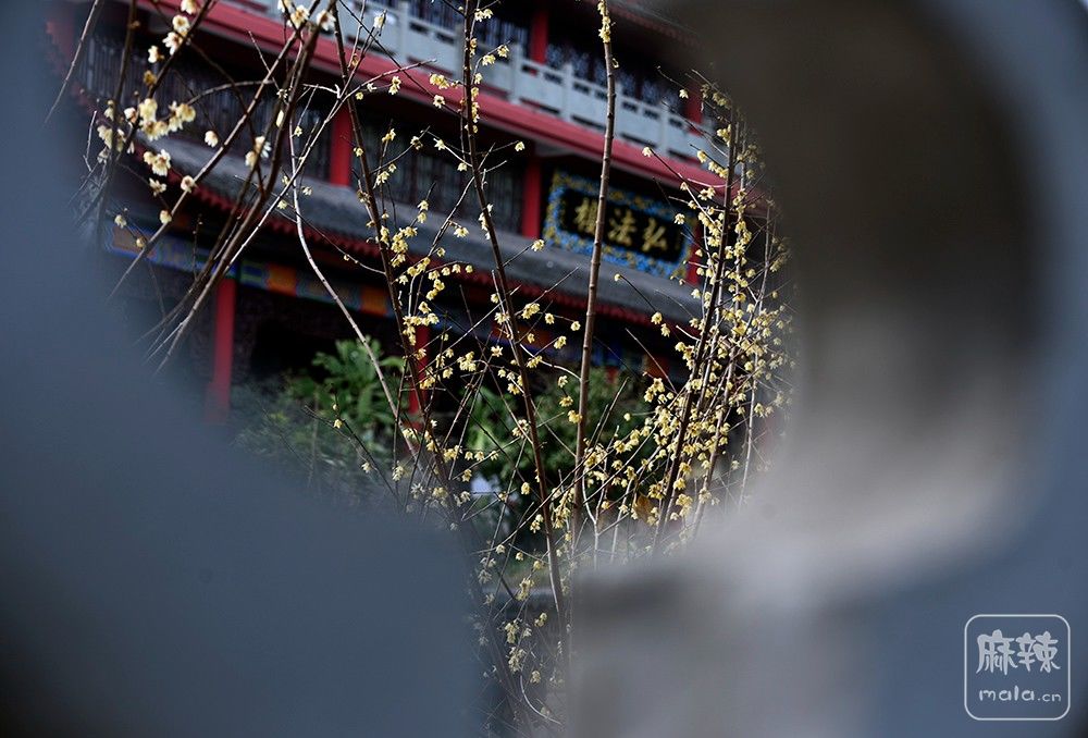 _DSC0443 ����.jpg