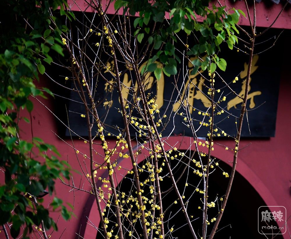 _DSC0464 ����.jpg