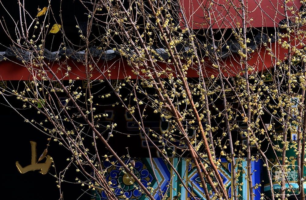 _DSC0445 ����.jpg