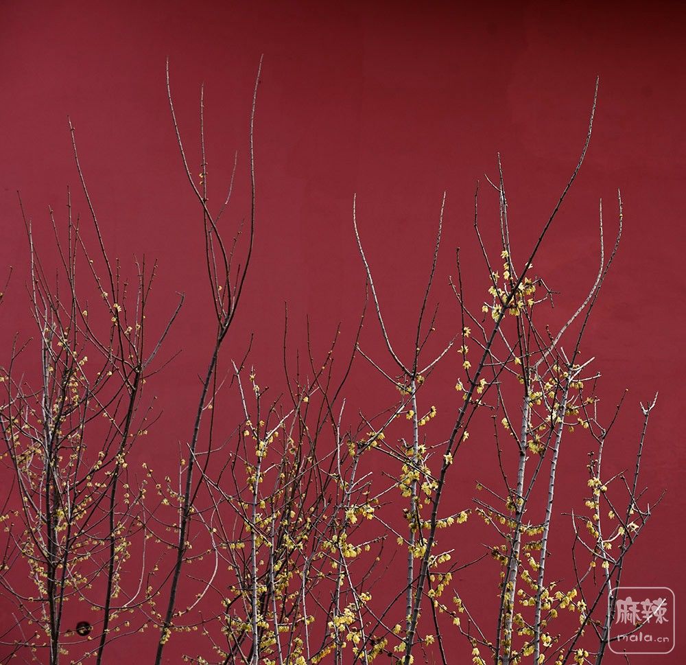 _DSC0448 ����.jpg