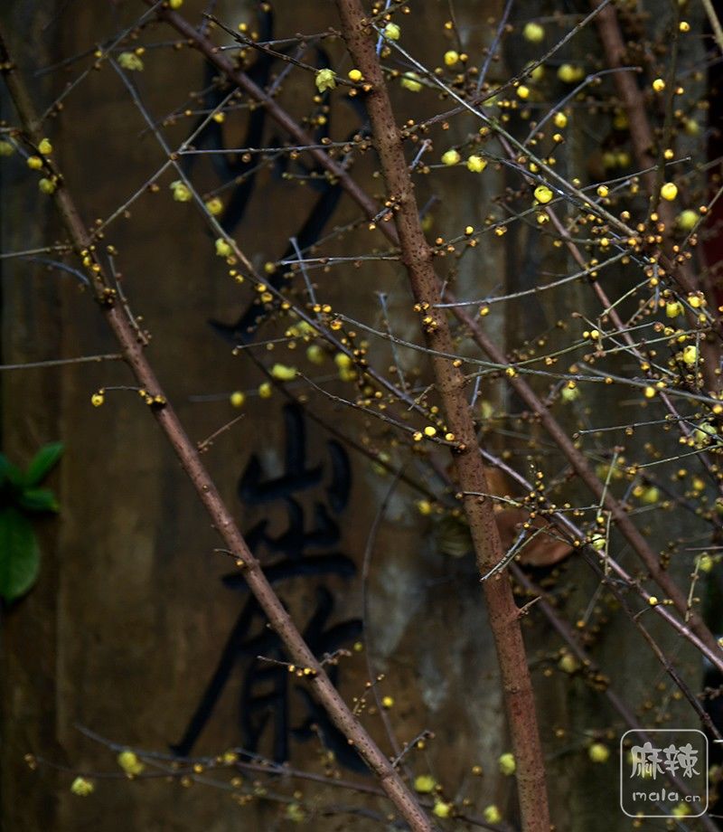 _DSC0468 ����.jpg