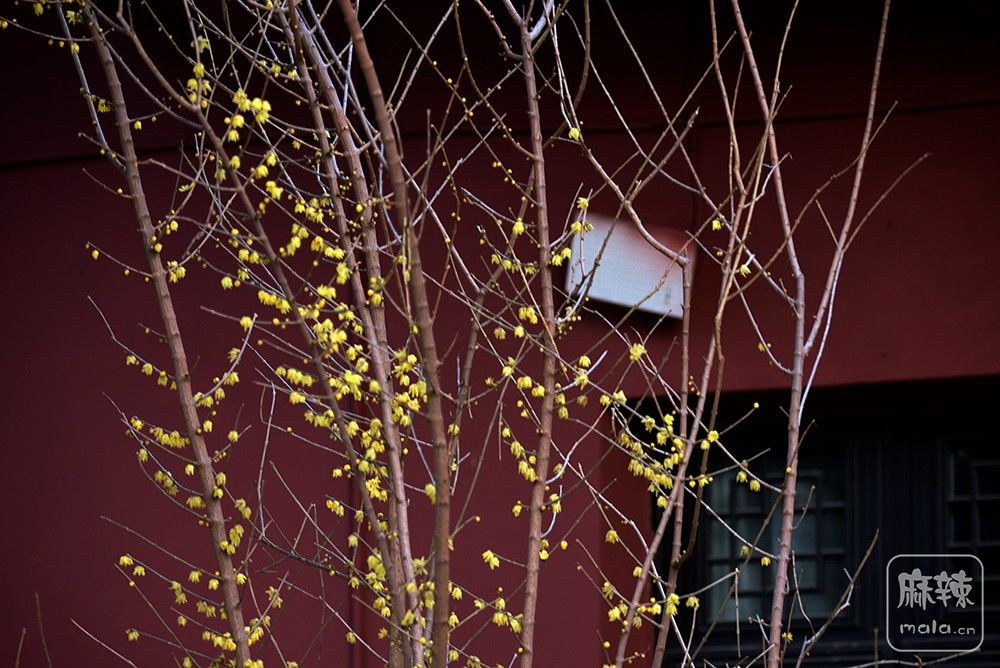 _DSC0466 ����.jpg