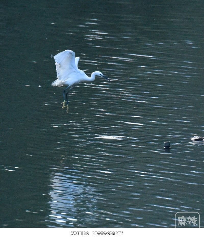 _DSC0624 ����.jpg