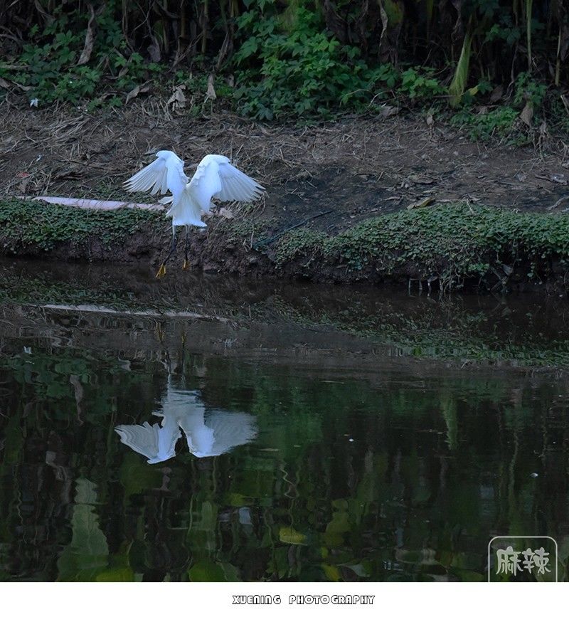 _DSC0662 ����.jpg