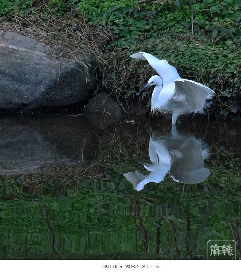 _DSC0653 ����.jpg