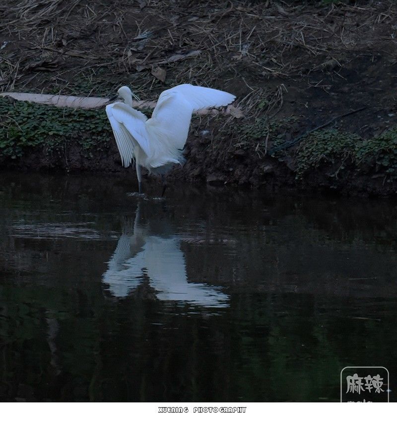 _DSC0663 ����.jpg