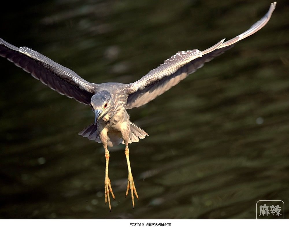 _DSC0728 ����.jpg