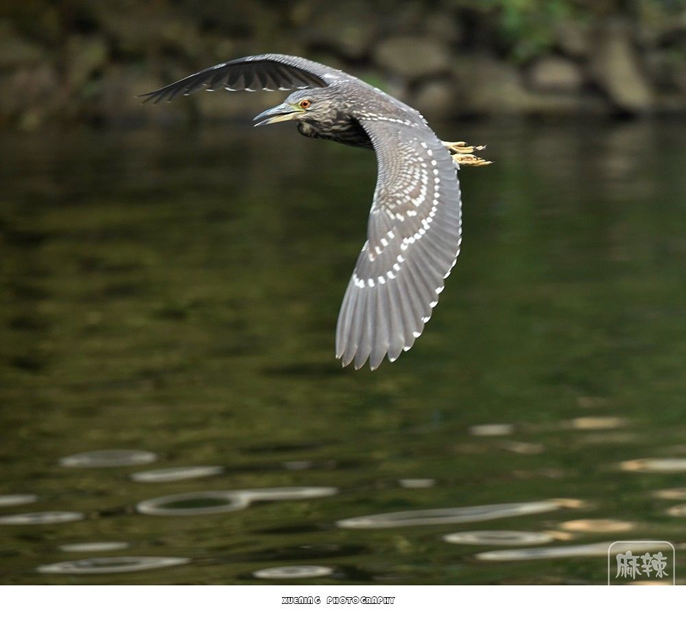 _DSC0862 ����.jpg