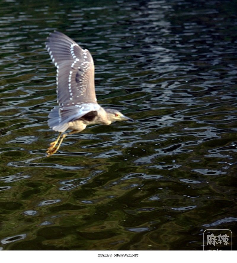 _DSC0765 ����.jpg