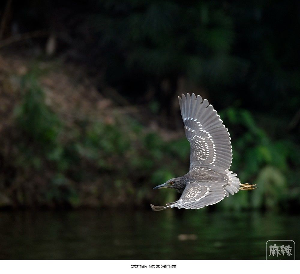 _DSC0860 ����.jpg