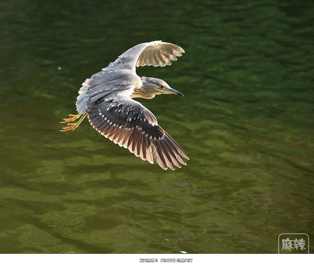 _DSC0766 ����.jpg