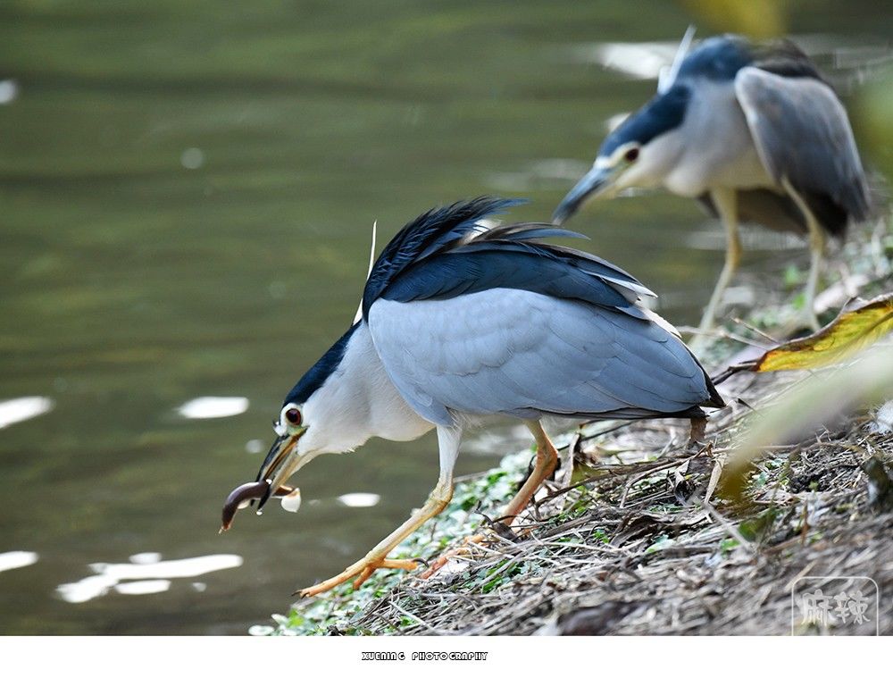 _DSC0802 ����.jpg