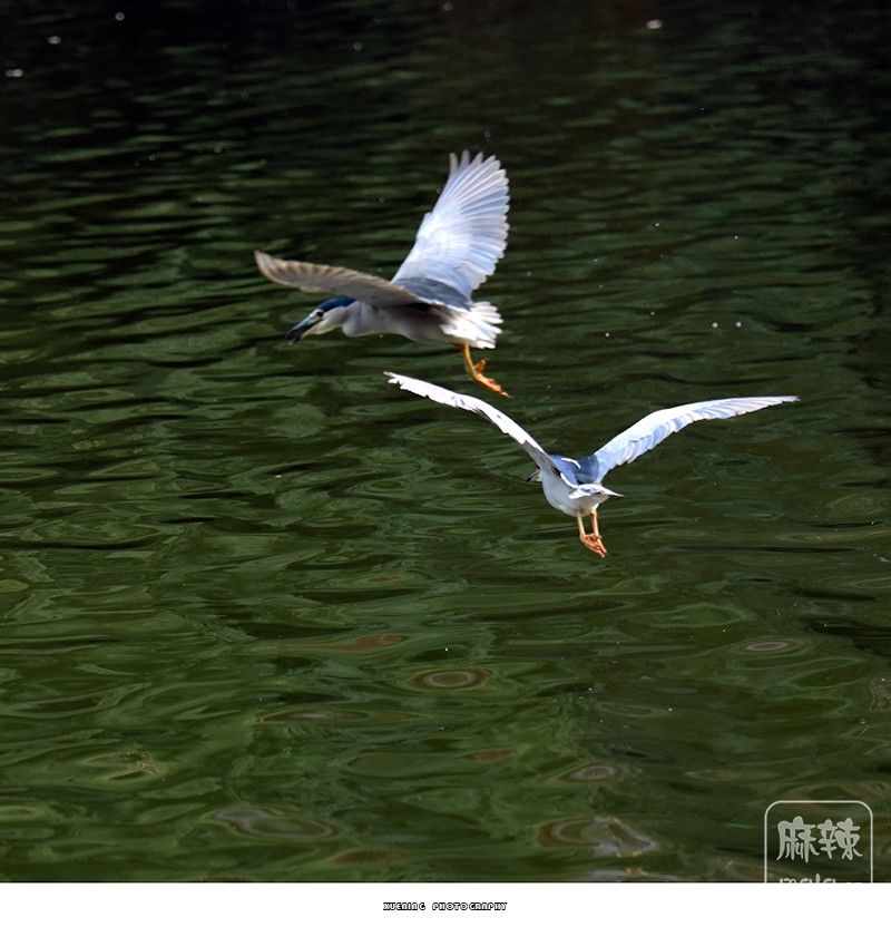 _DSC0870 ����.jpg