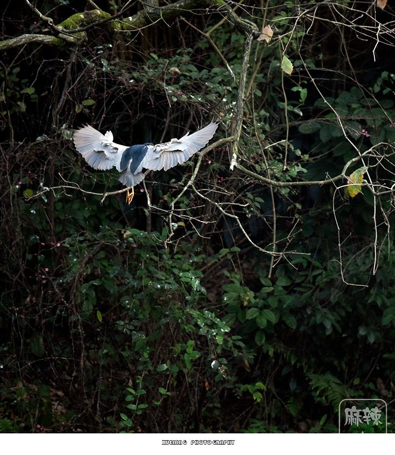 _DSC0698 ����.jpg