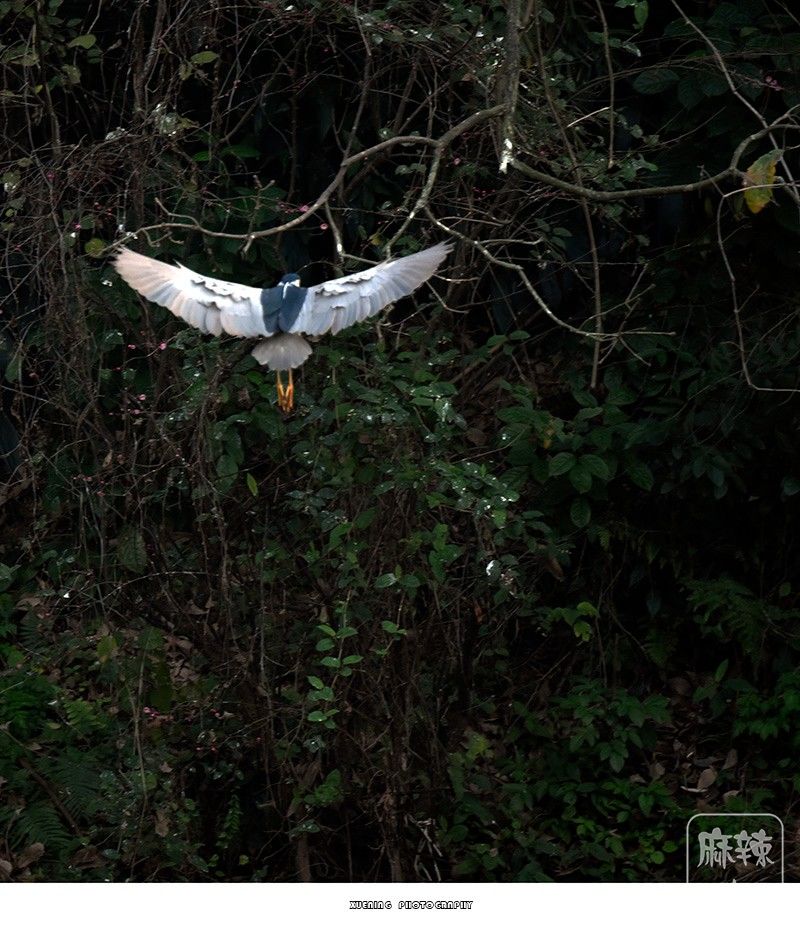 _DSC0778 ����.jpg