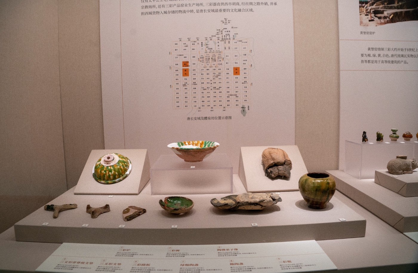 DSC09229 ����.jpg