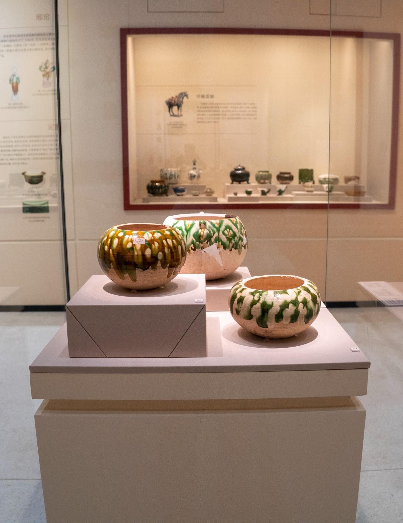 DSC09233 ����.jpg