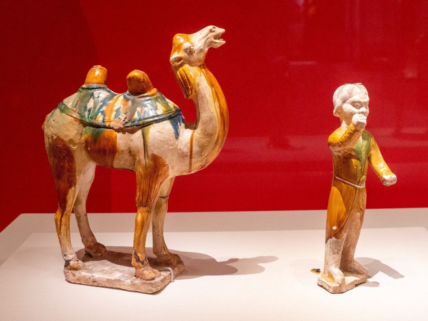 DSC09220 ����.jpg