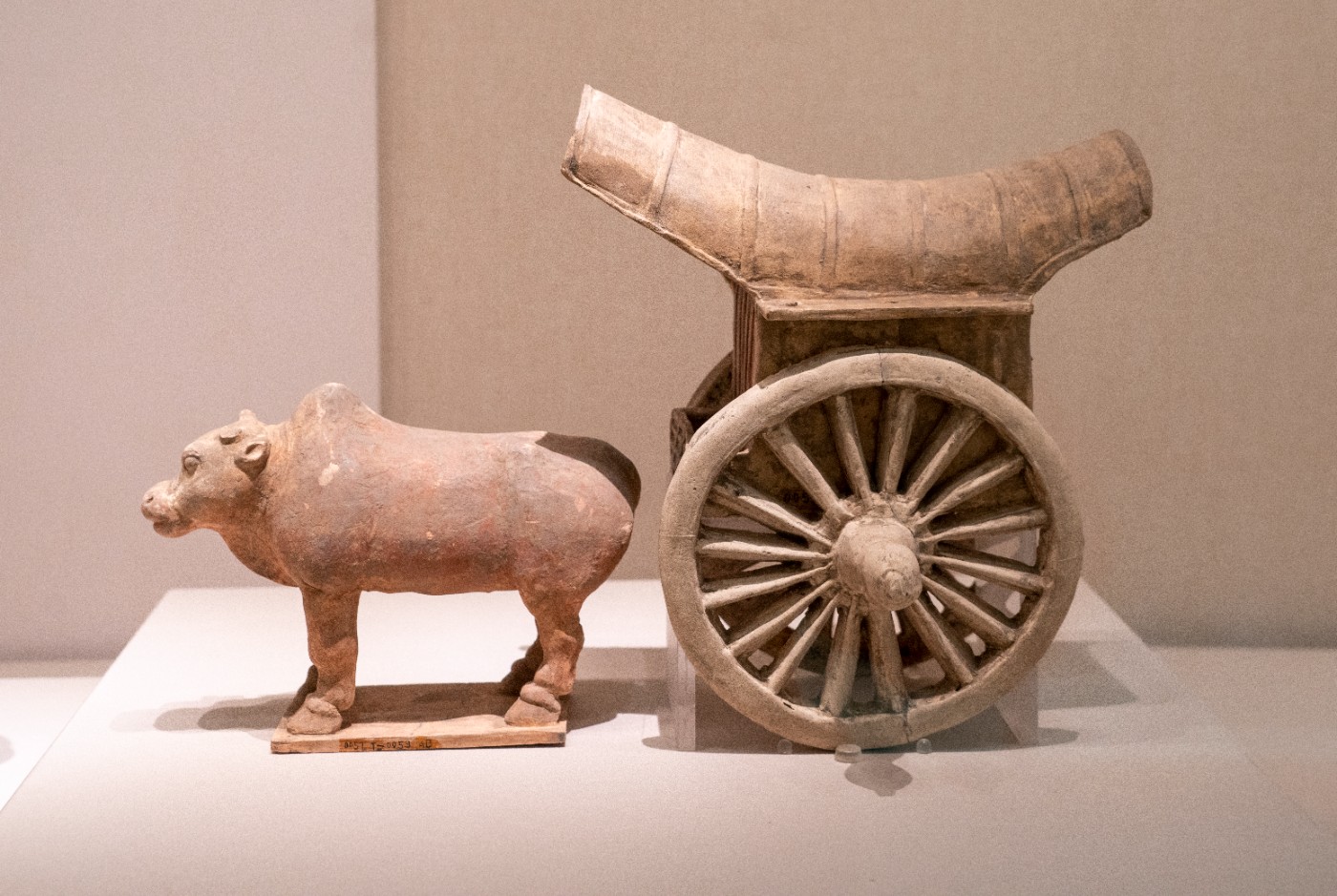 DSC09226 ����.jpg