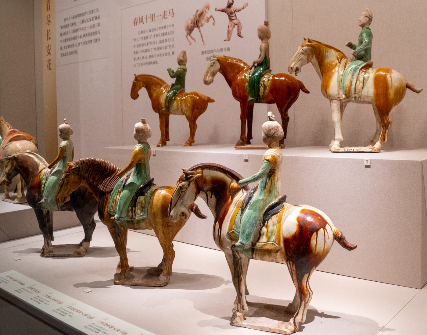 DSC09245 ����.jpg