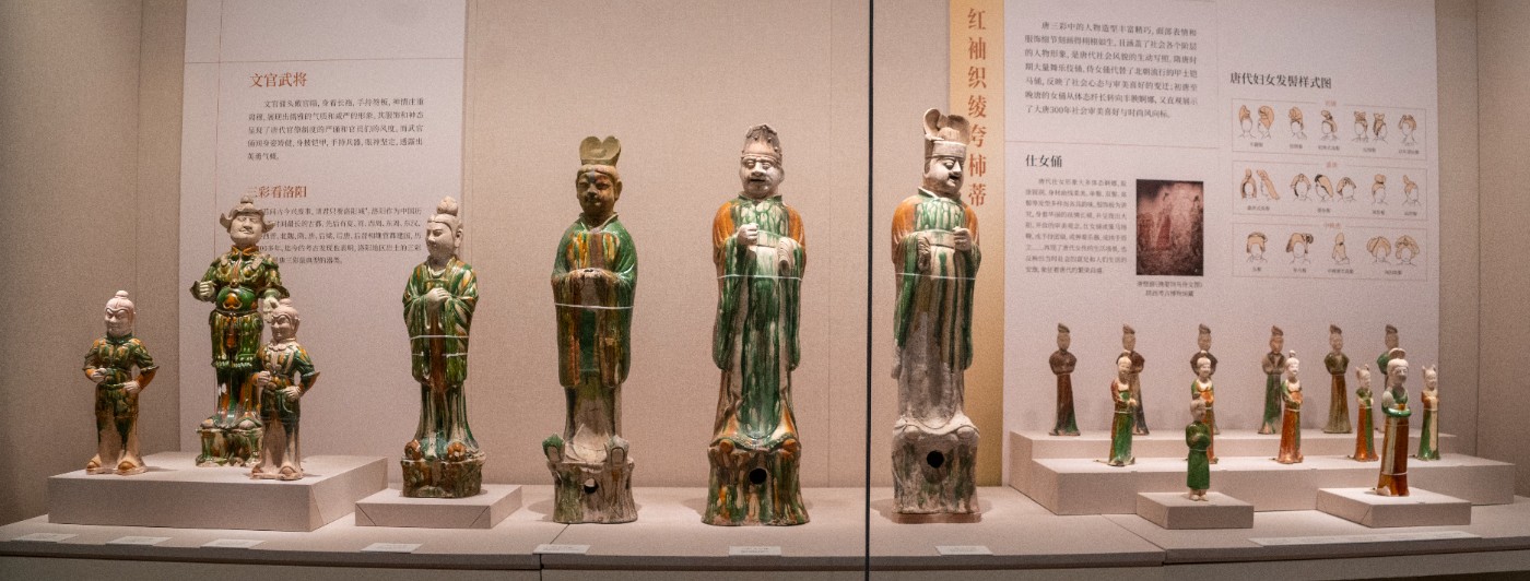 DSC09253 ����.jpg