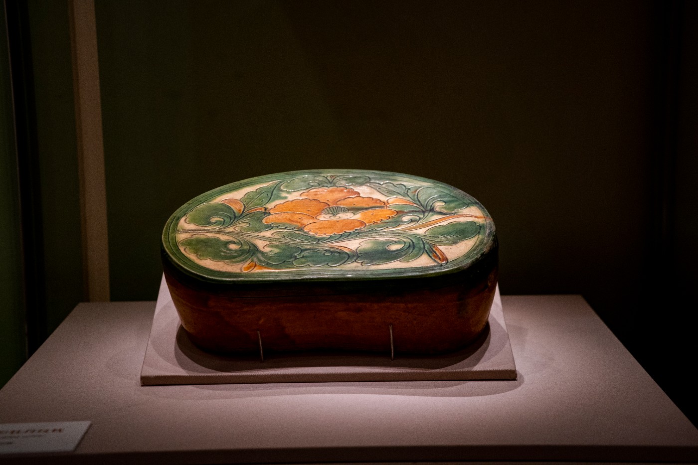 DSC09260 ����.jpg