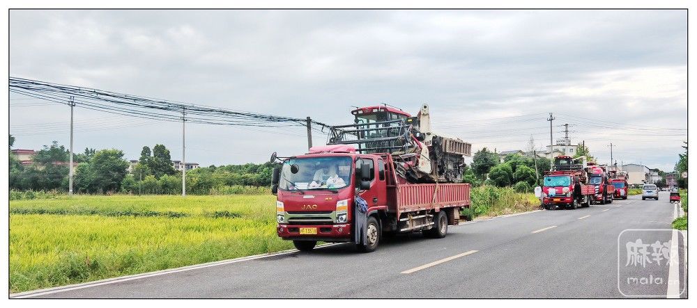 �ֻ���Ӱ�� �����츮����