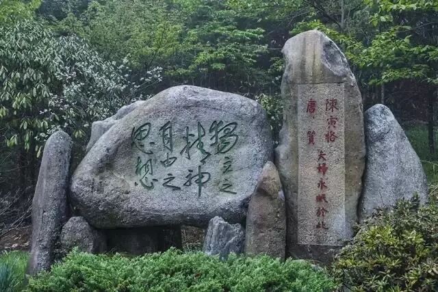 �廪��ѧѧ��ȥ�����������񡱣��������ɶ���