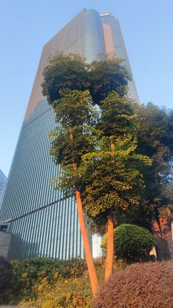 ����֮��