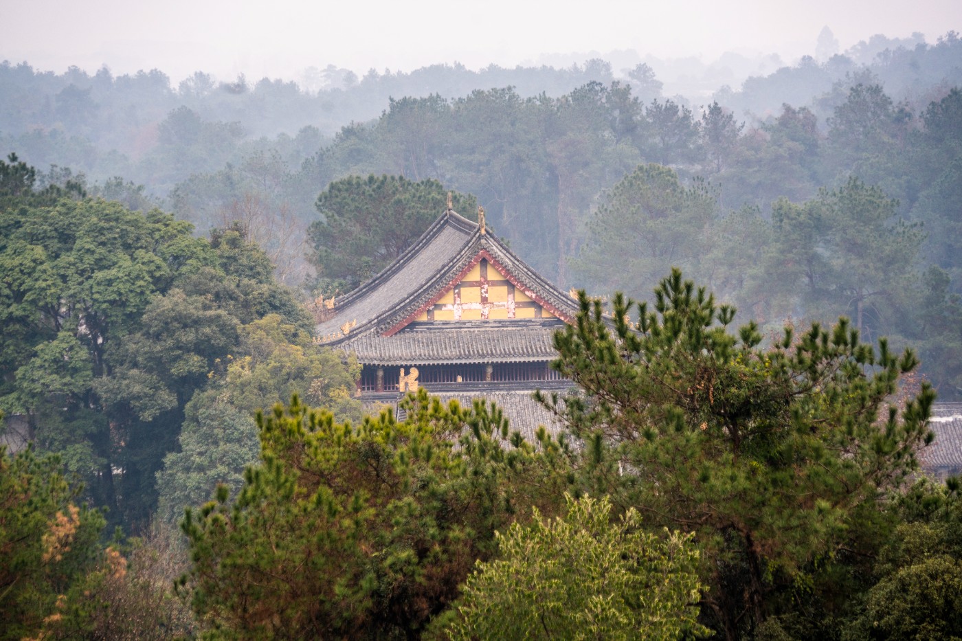 DSC09321-3 ����.jpg