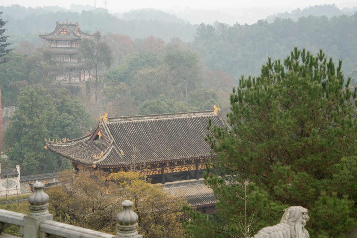 DSC09323 ����.jpg