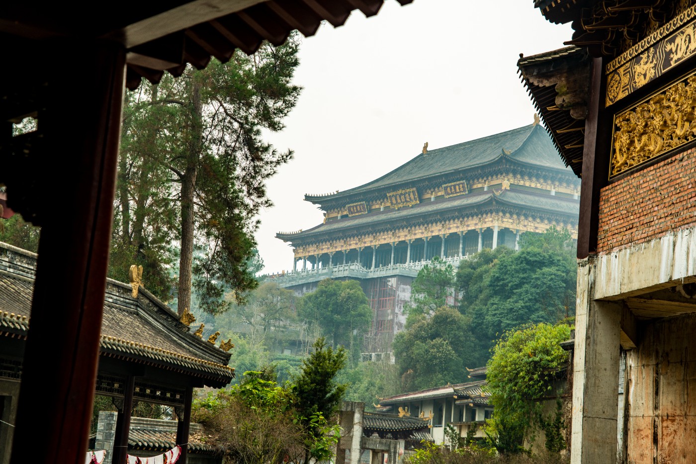 DSC09346 ����.jpg