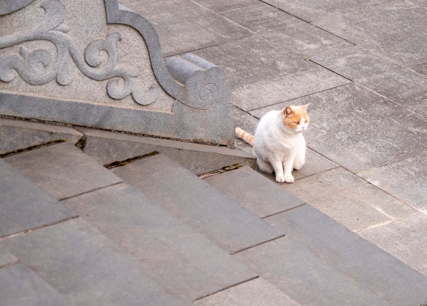 DSC09350 ����.jpg