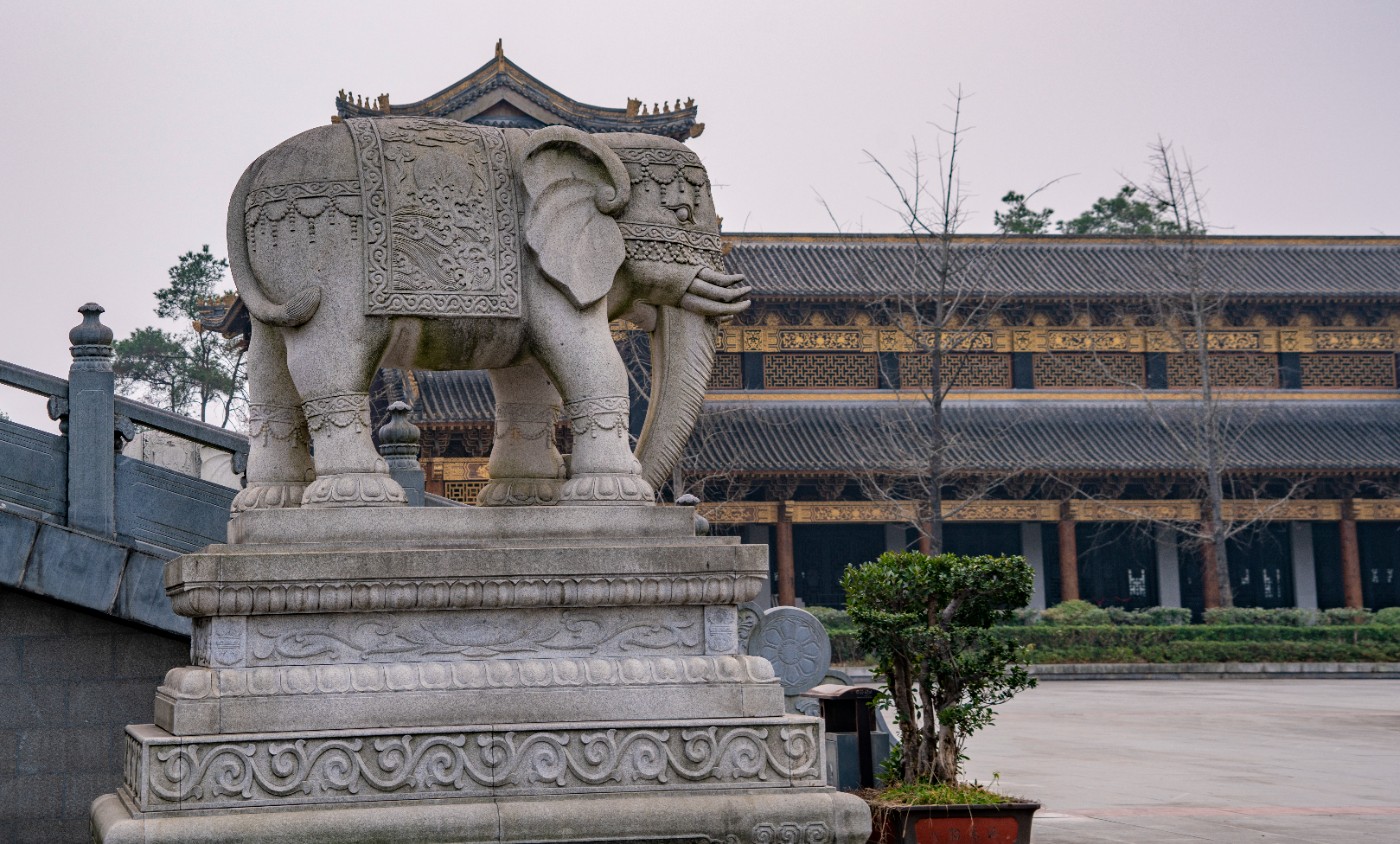 DSC09353 ����.jpg