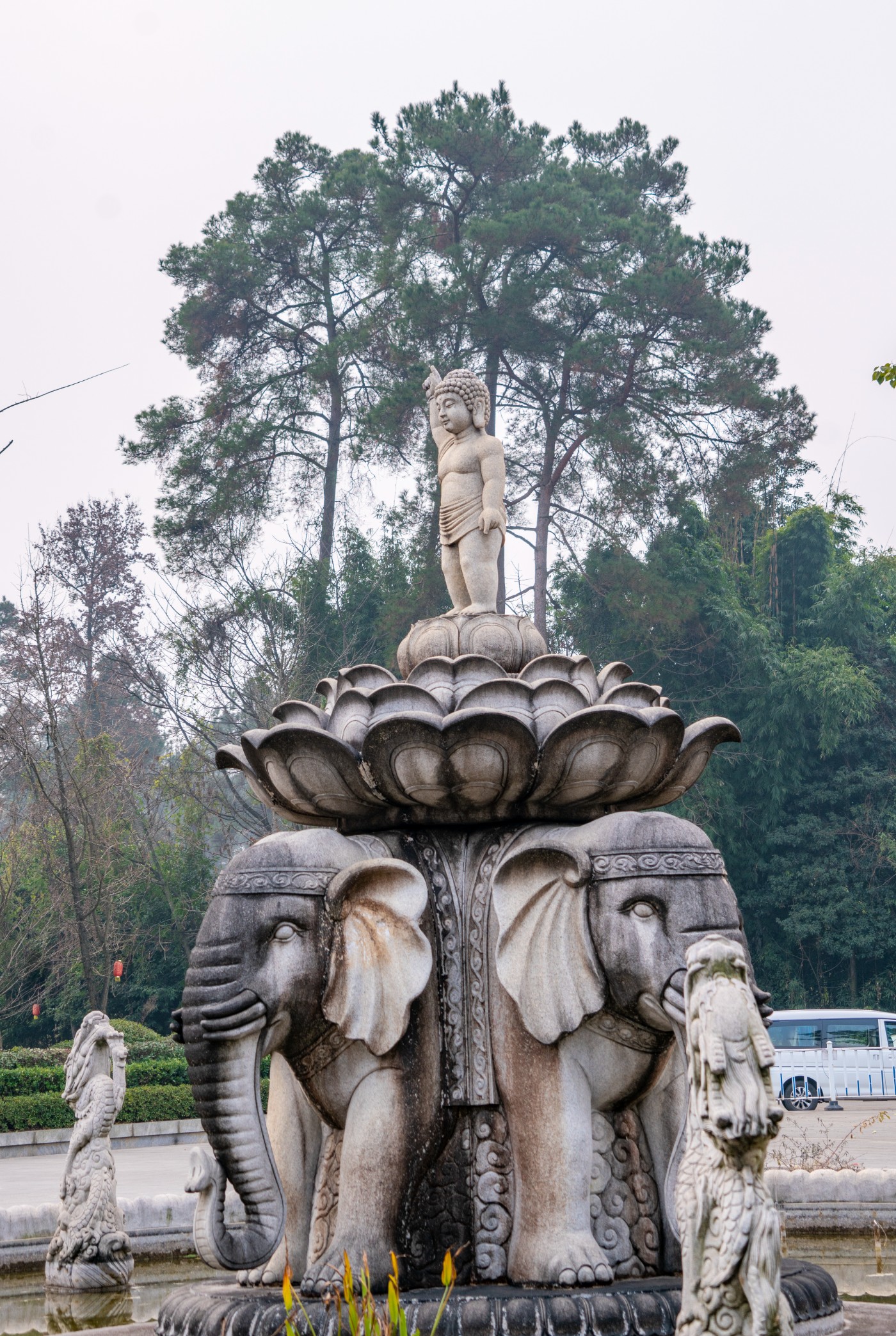 DSC09354 ����.jpg