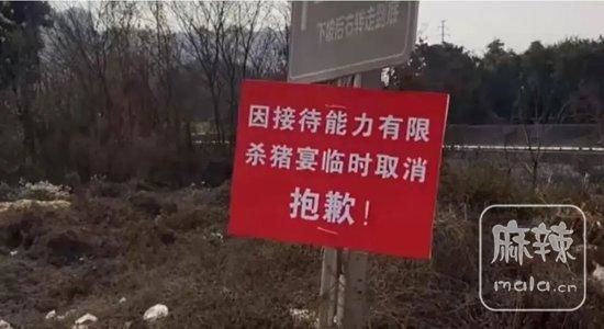 f11f3a292df5e0fe2aa07b255a9f2cb95fdf726e.jpeg@f_auto