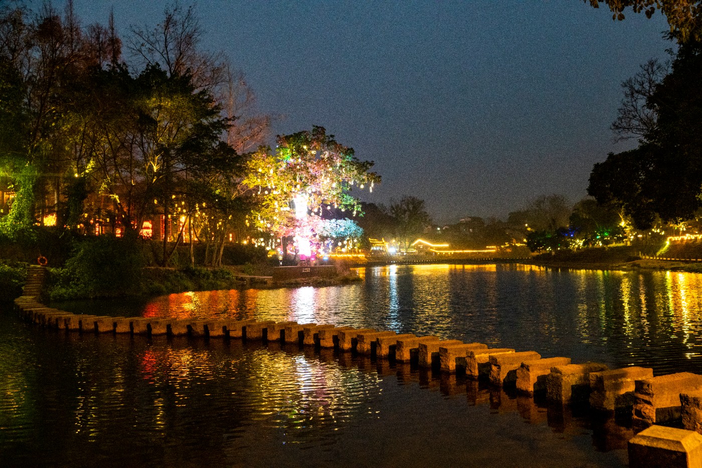 DSC09392 ����.jpg