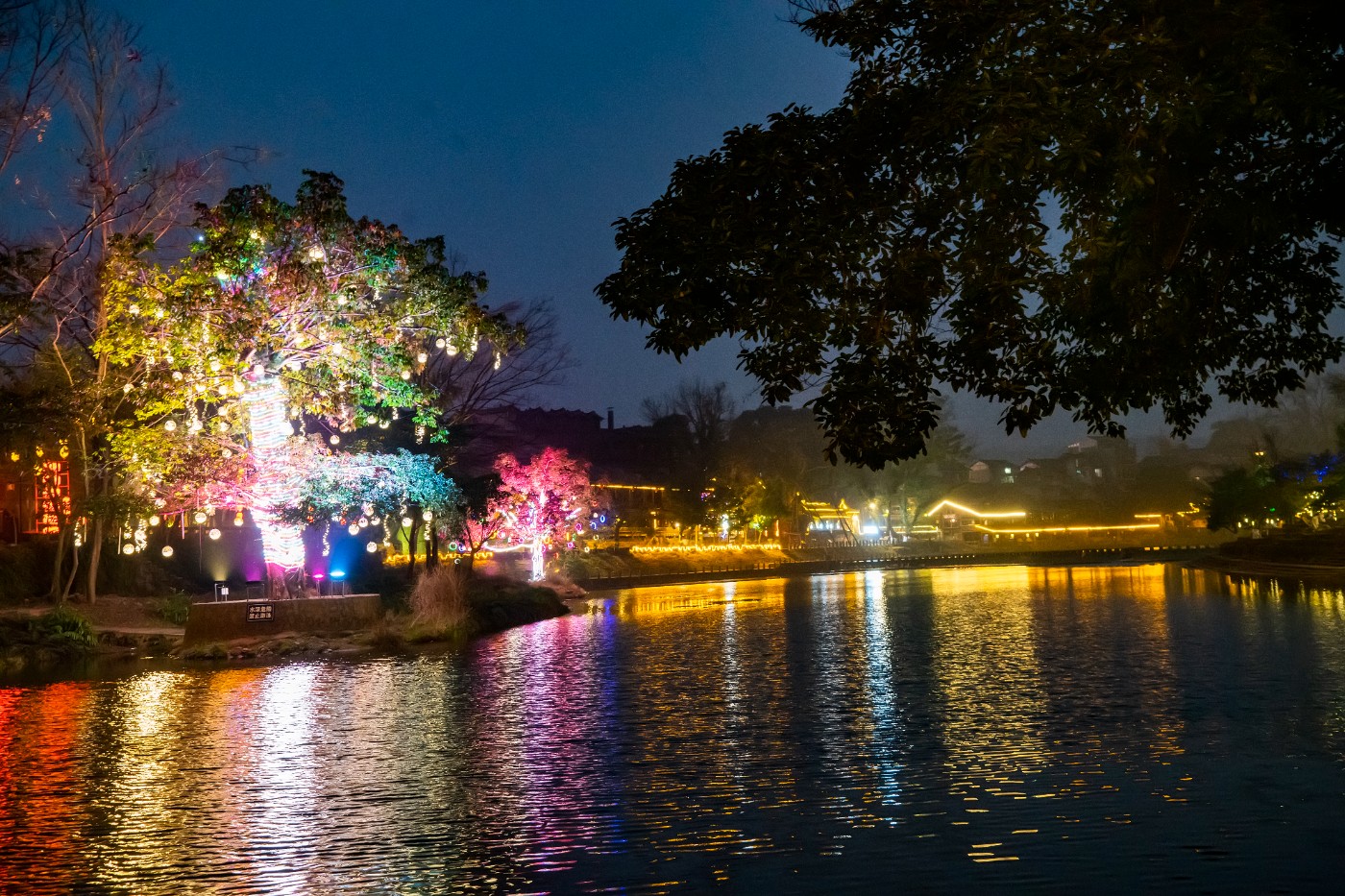 DSC09395 ����.jpg