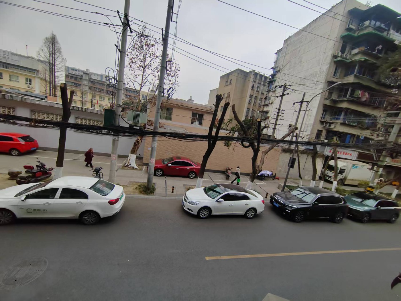 ������ͣ��