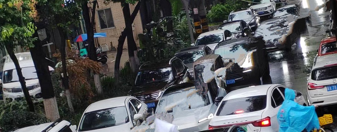 �˱���ѧ����