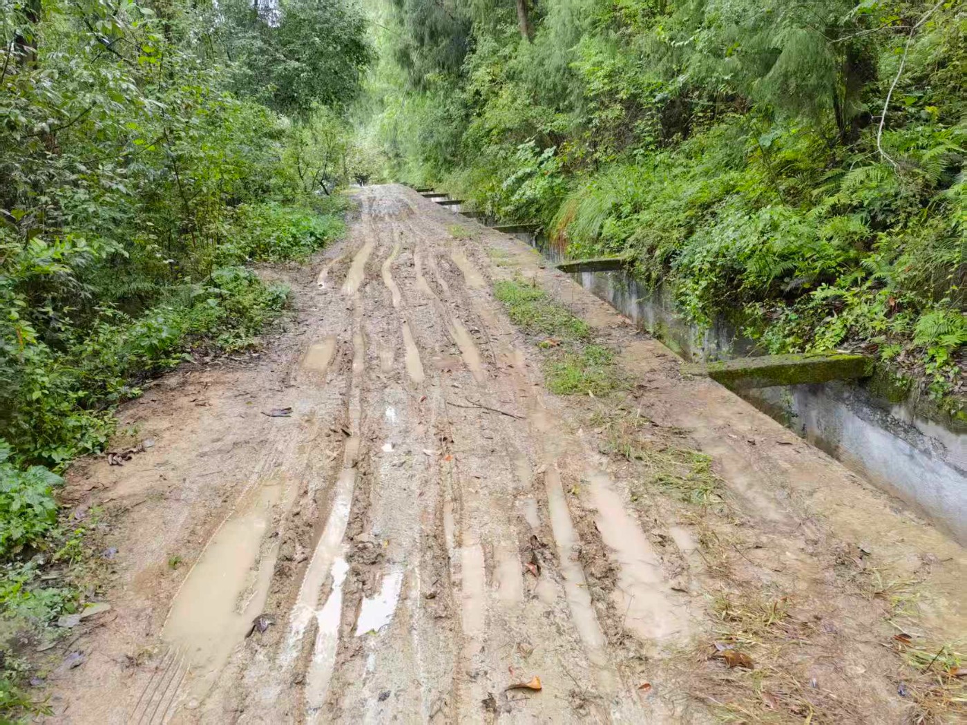 ��Ţ��Ҫ��2��������ͤ�ظ����򹲺ʹ帣���������Ҿ۾����ٶ��׳�������·