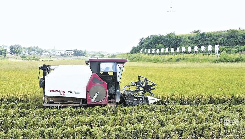 4ee28ead-df64-4e7f-a672-f37fd3e8ad75.tif.2