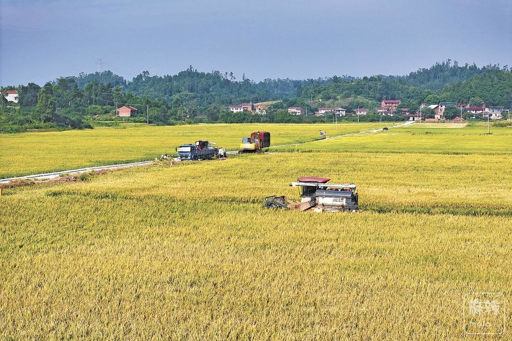 0baab622-7b78-451c-8e6b-3f055cc6e683.tif.2